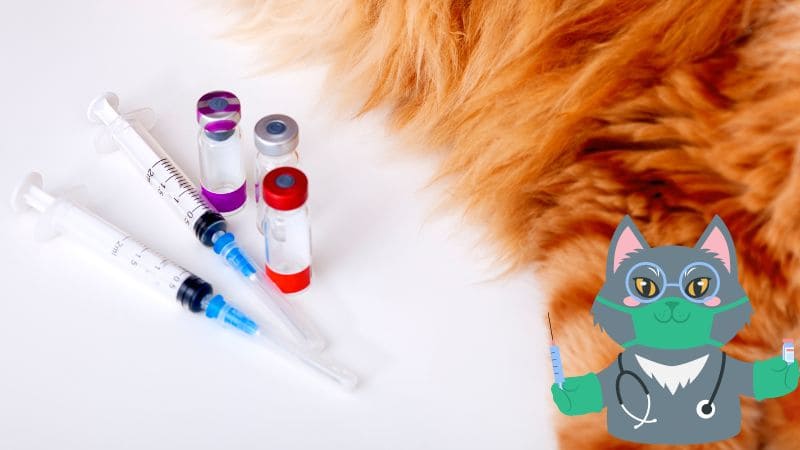 vacunas más importantes para gatos estudios de laboratorio